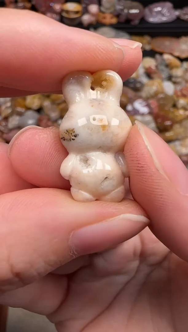 硅化珊瑚（珊瑚玉）未镶嵌颈饰317