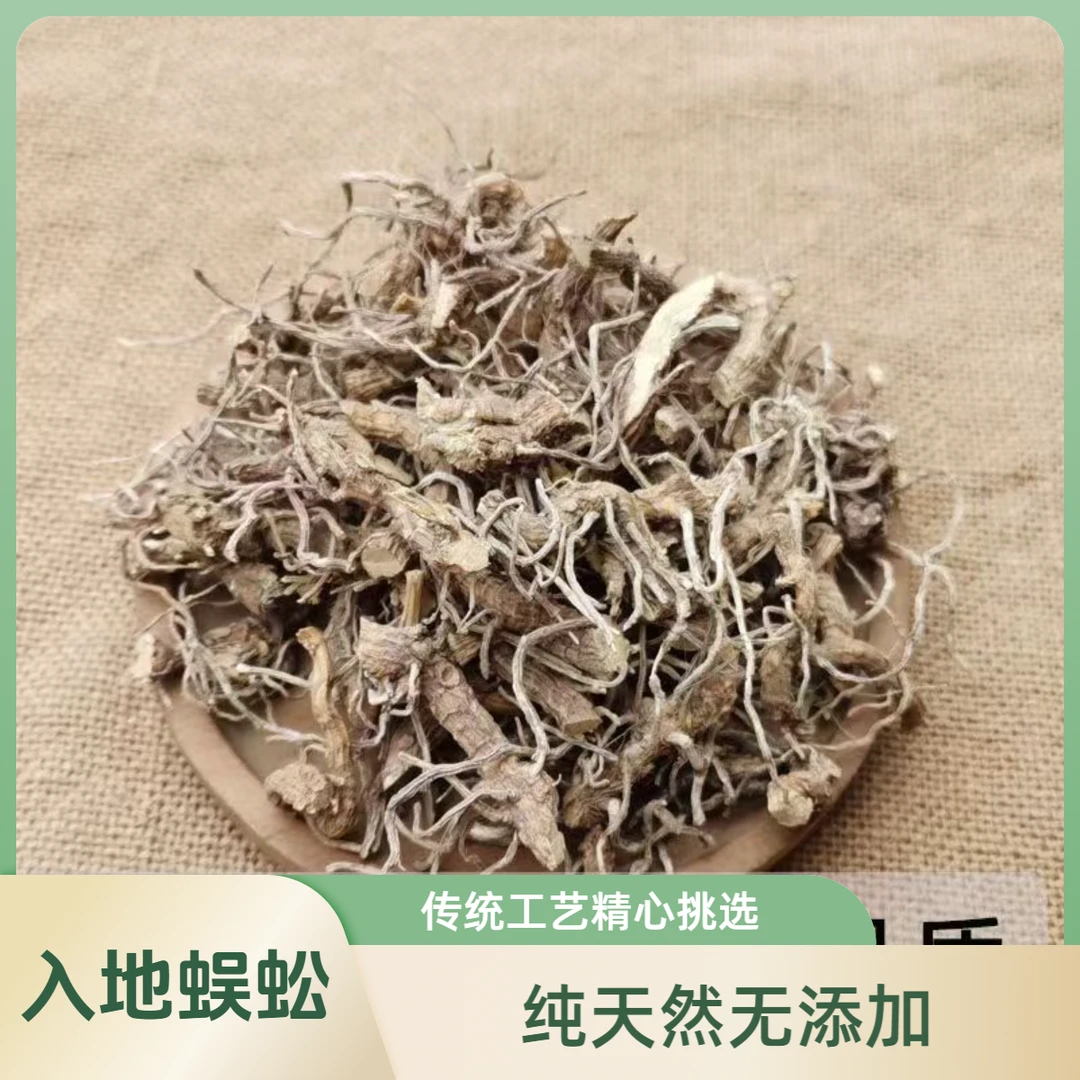 入地蜈蚣中药材干入地蜈蚣草水蜈蚣倒地蜈蚣七指蕨中草药包邮