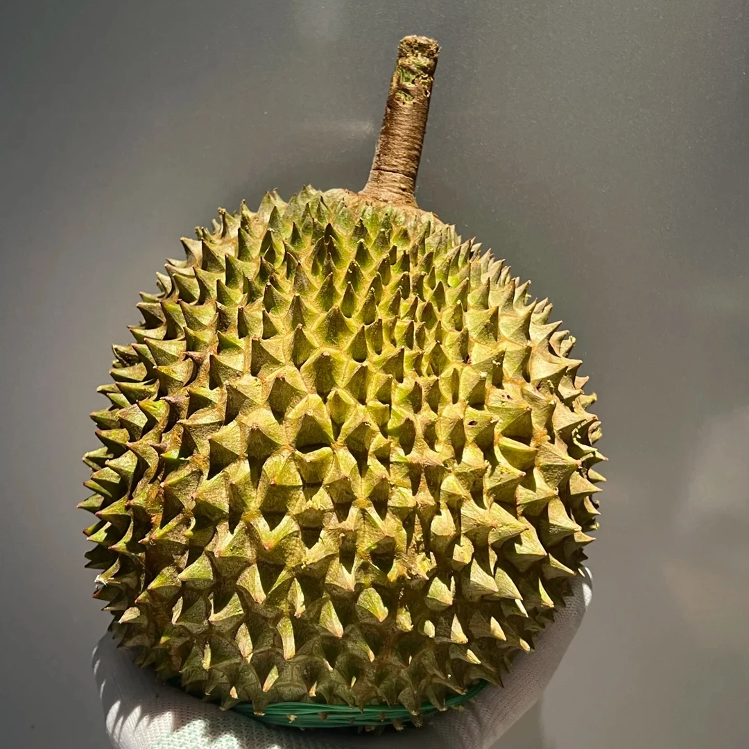 「榴莲爱好者的进阶 小品种」 鲜榴莲核小肉多 斤天津同城小时达猫山王托曼尼黑刺干尧金枕泰国