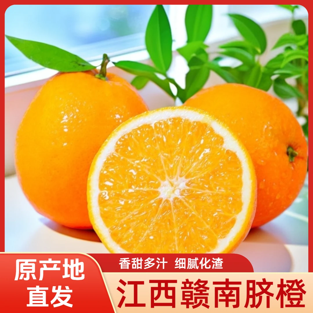 正宗赣南早脐橙精品大果5/10斤20斤赣州橙子时令新鲜水果整箱包邮
