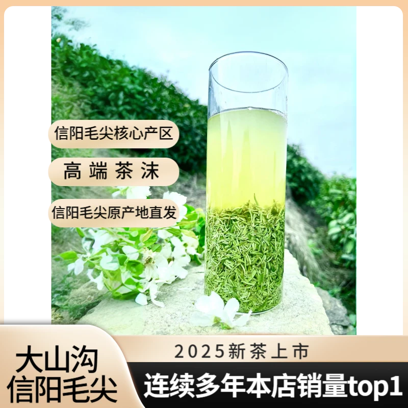 【2025新茶】大山沟•浉河港信阳毛尖明前精品断芽尖（袋装）