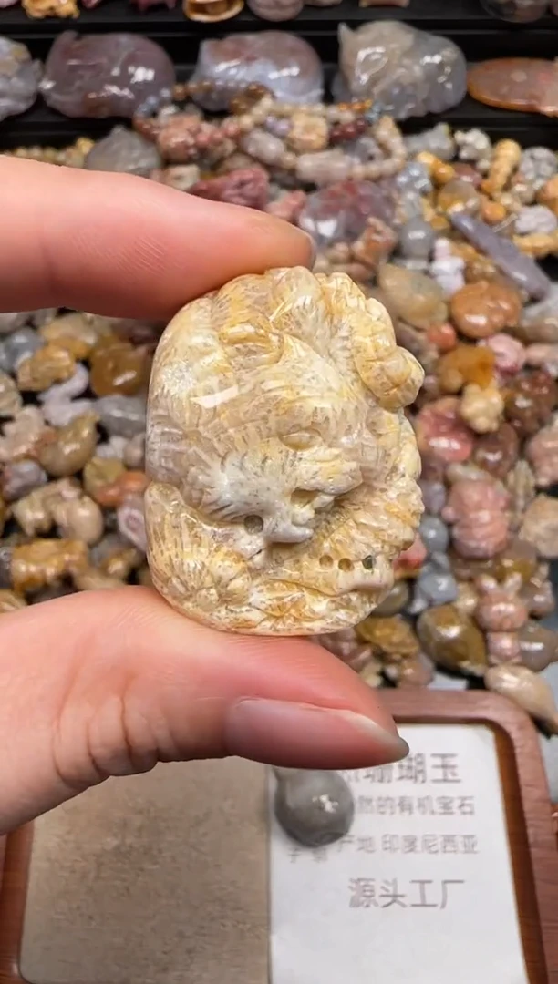 硅化珊瑚（珊瑚玉）未镶嵌颈饰209