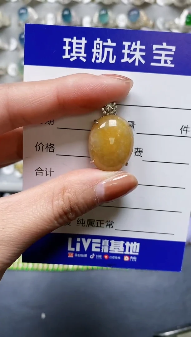 【闪购商品】翡翠颈饰银S925镶嵌0461