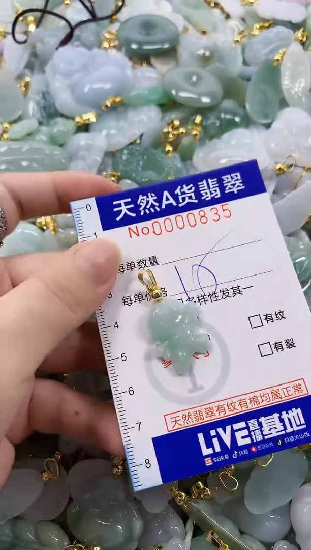 颈饰未镶嵌翡翠天然A货翡翠