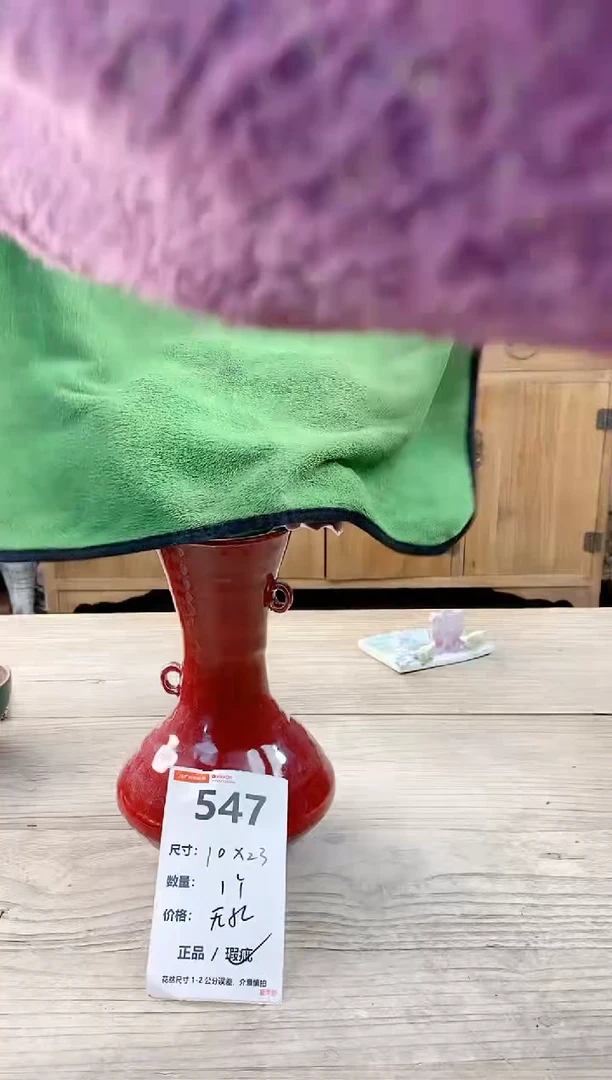 小玩子花盆直播编号547
