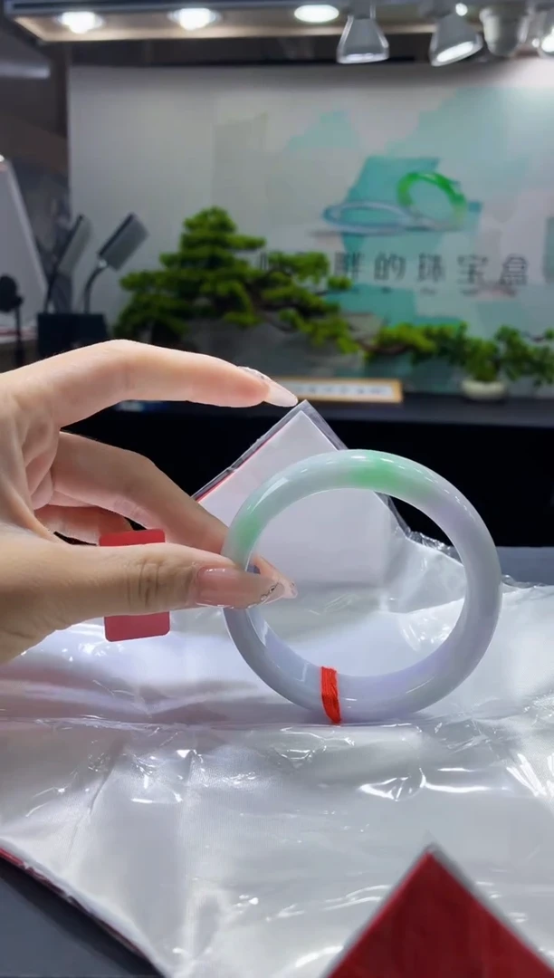 未镶嵌手镯翡翠6