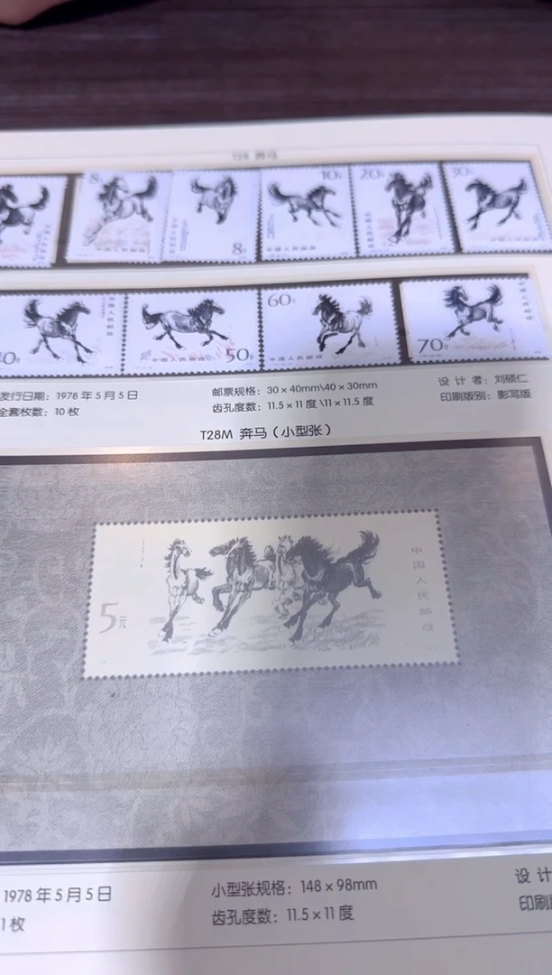 T28 封装评级鉴定收藏 包邮