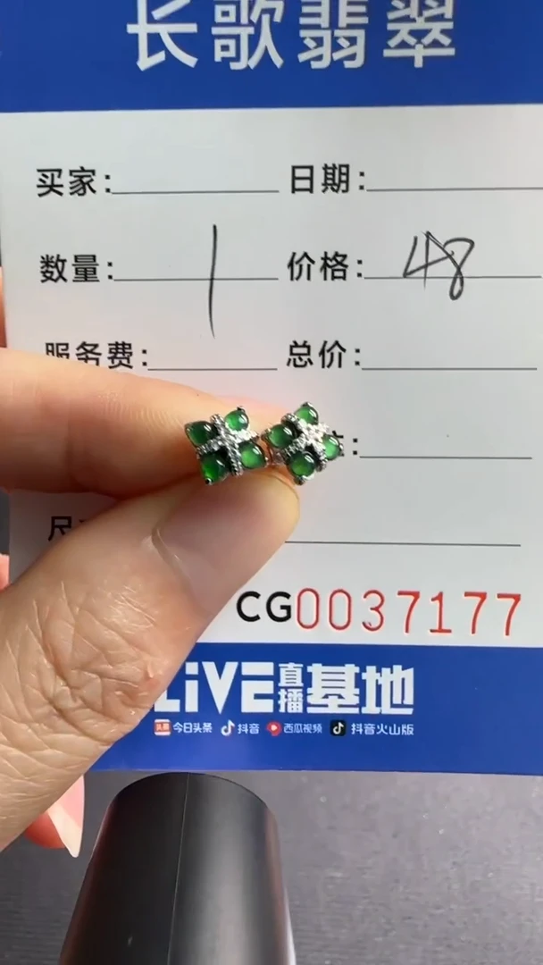 翡翠银S925镶嵌颈饰00007177
