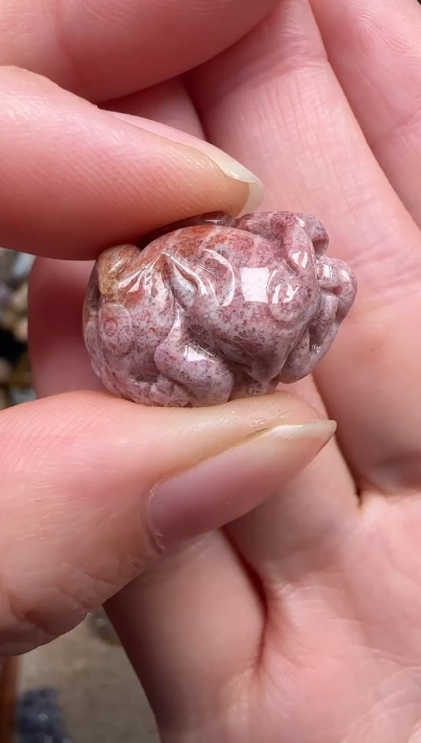颈饰未镶嵌硅化珊瑚（珊瑚玉）809