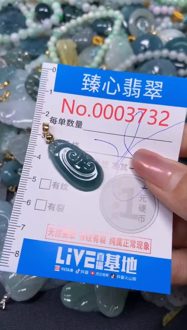 【闪购商品】翡翠颈饰未镶嵌含绳0003732
