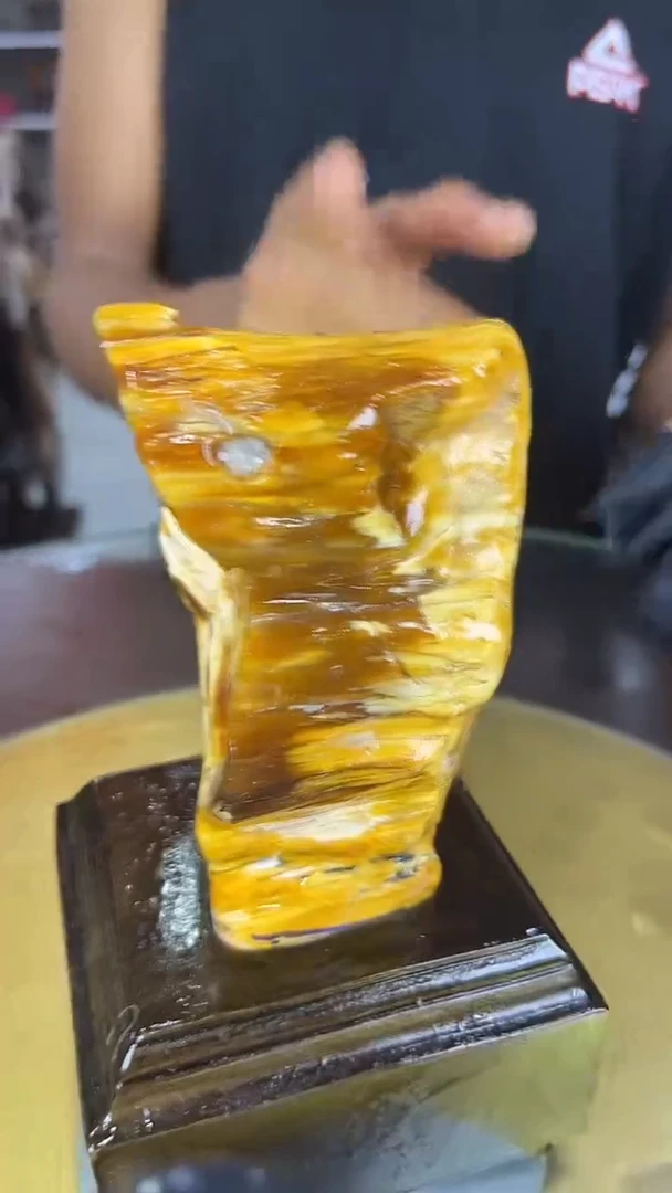 硅化玉珠宝奇石未镶嵌缅甸天然树化玉