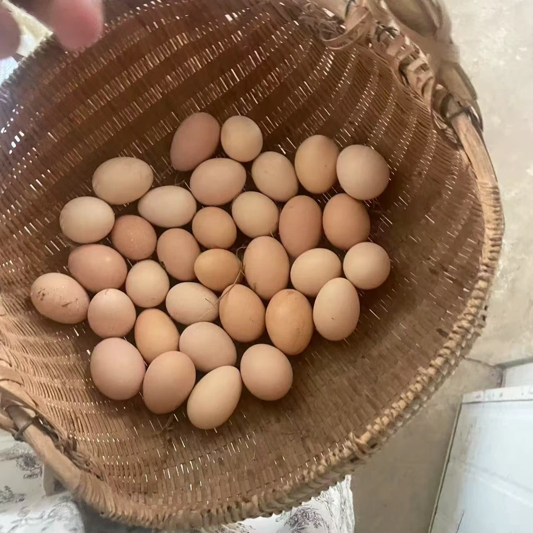 农养土鸡蛋50枚/盒 100枚/盒