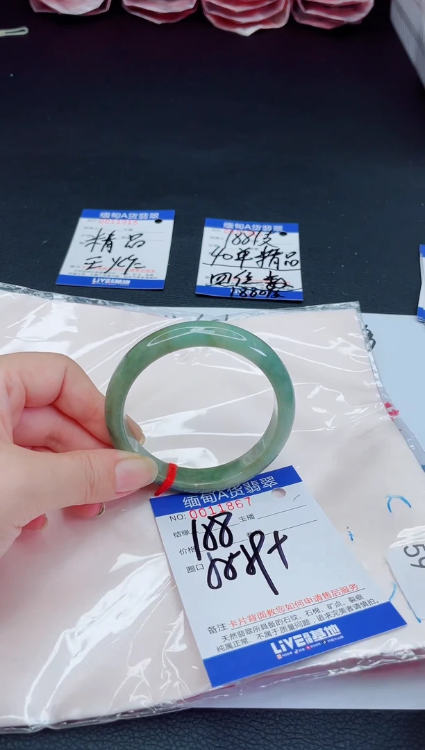 未镶嵌手镯翡翠1111111