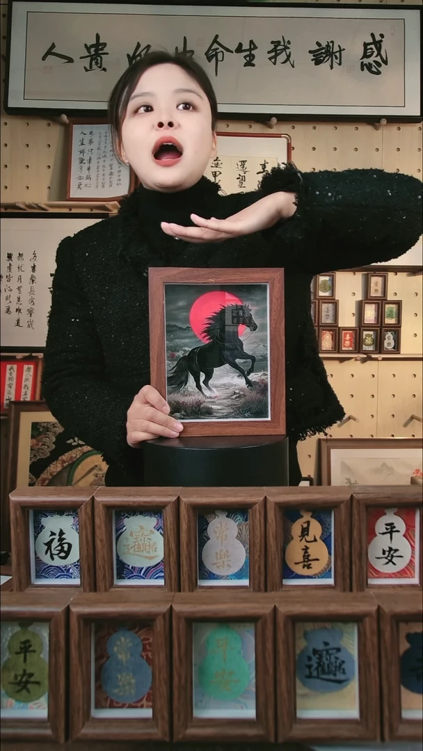 有机玻璃黑马红日8寸