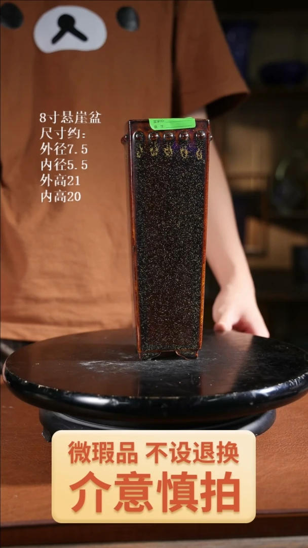 8寸悬崖盆  353