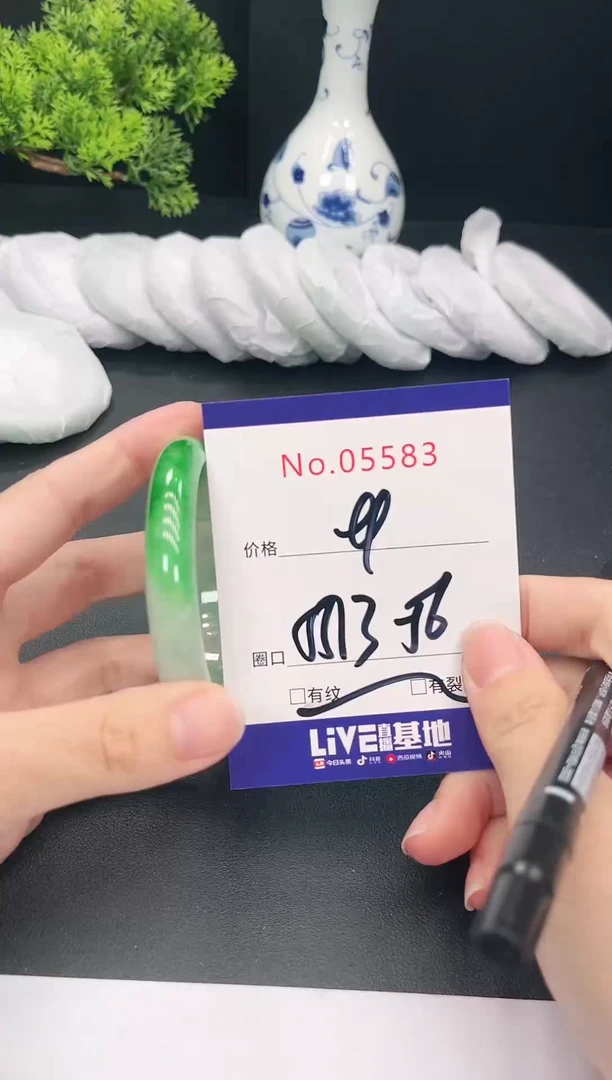 未镶嵌手镯翡翠5583