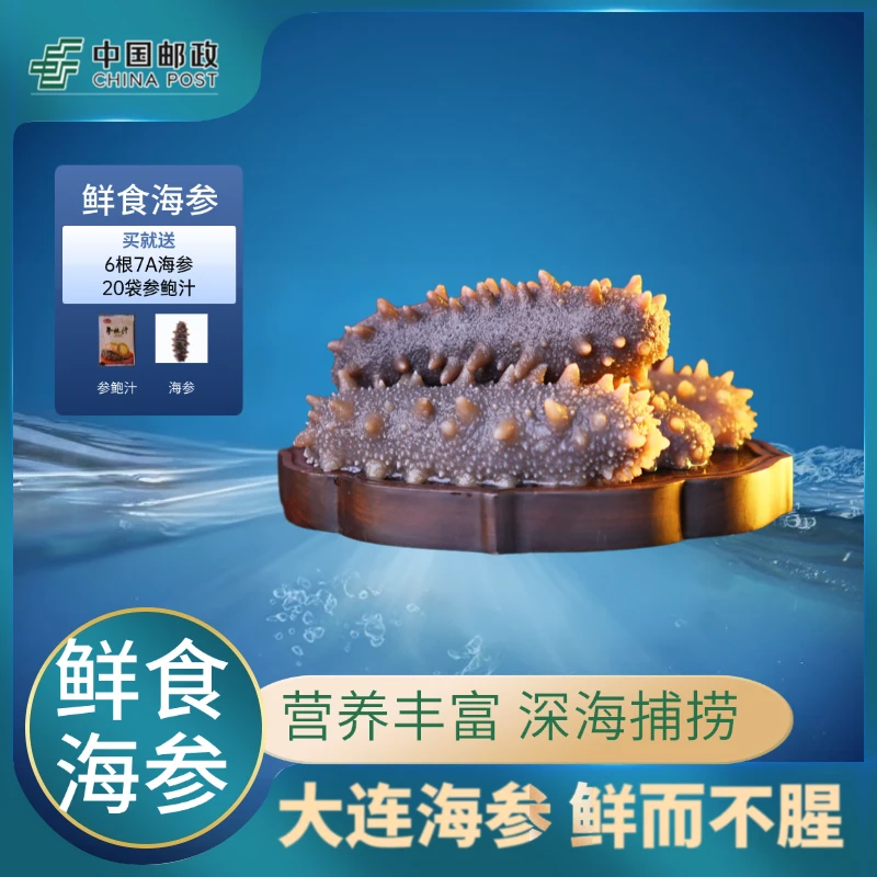 【邮政农品】鲜蒸辽刺参开袋即食海参礼盒送礼独立包装