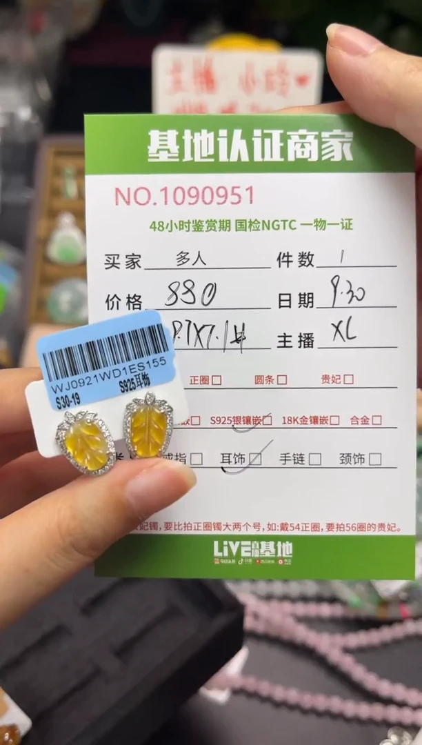 银S925镶嵌翡翠耳饰多人