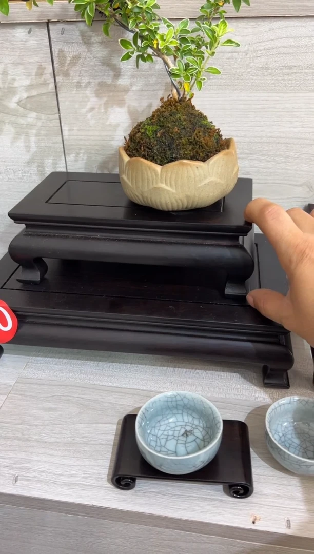 东非黑黄檀（紫光檀）21*11*7