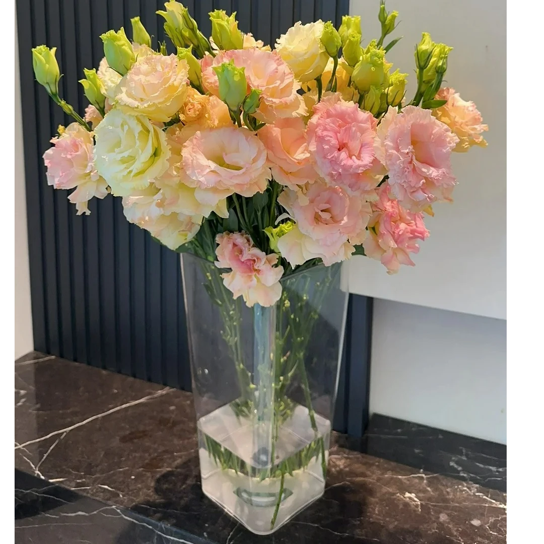 【白色和香槟色洋桔梗 】 300克一份全场任意两单京东包邮