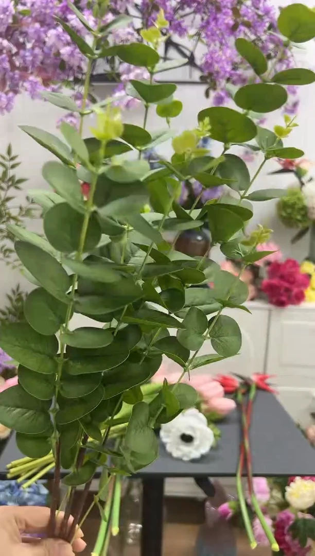 3枝手感尤加利叶