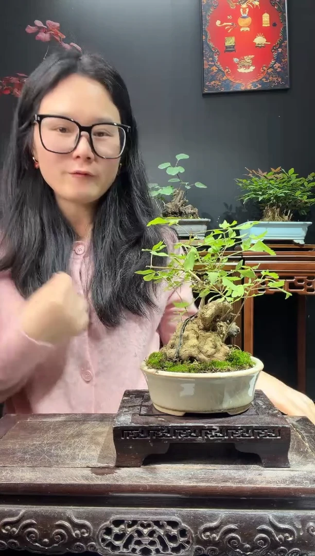 完全开放黄荆000