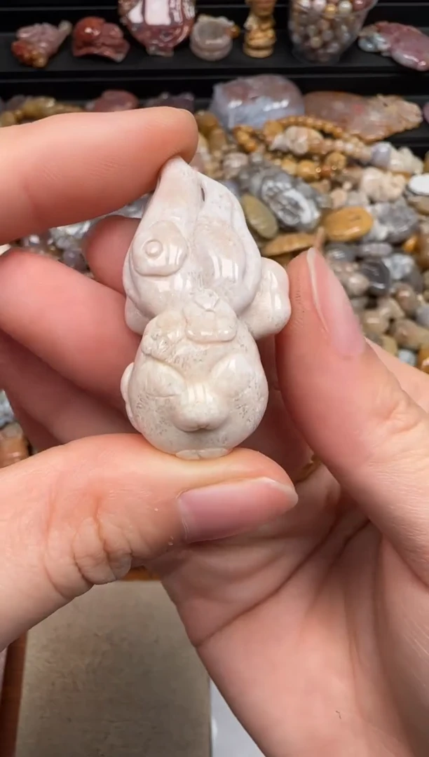 【闪购商品】硅化珊瑚（珊瑚玉）未镶嵌颈饰893