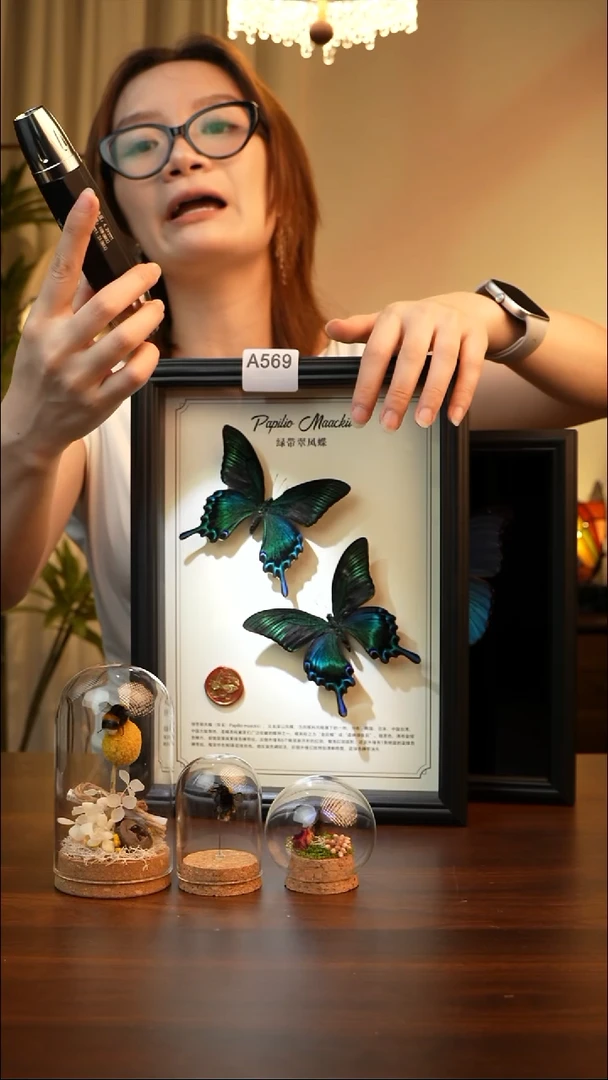 绿带翠凤蝶夏款双蝶A569