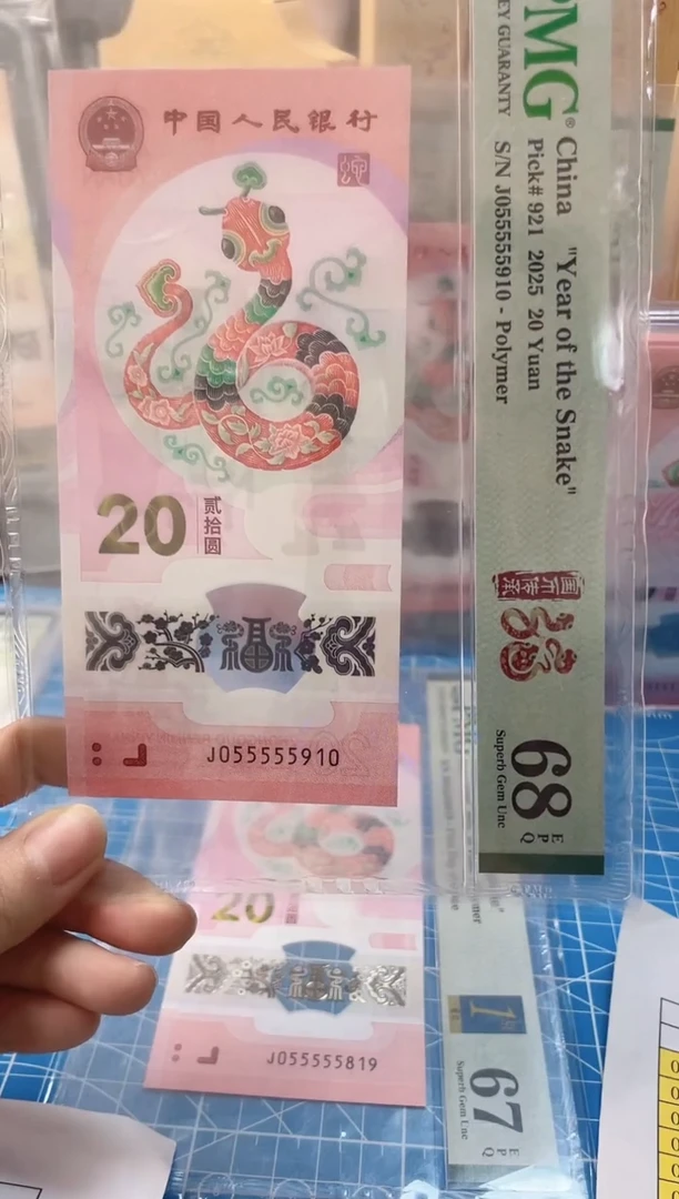 塑料pmg九龙令05555910