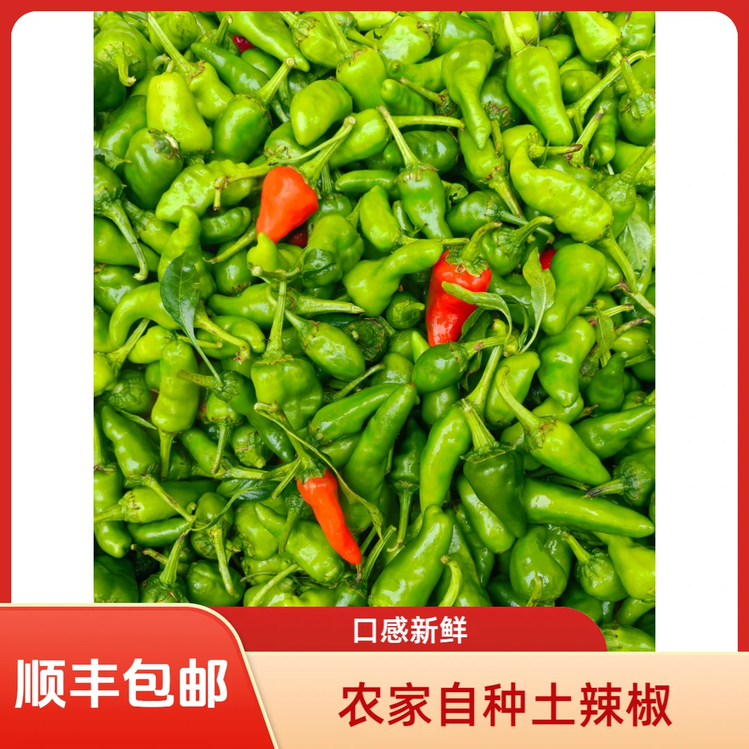 农家土辣椒｜江西菜灵魂｜小时候的味道｜顺丰包邮