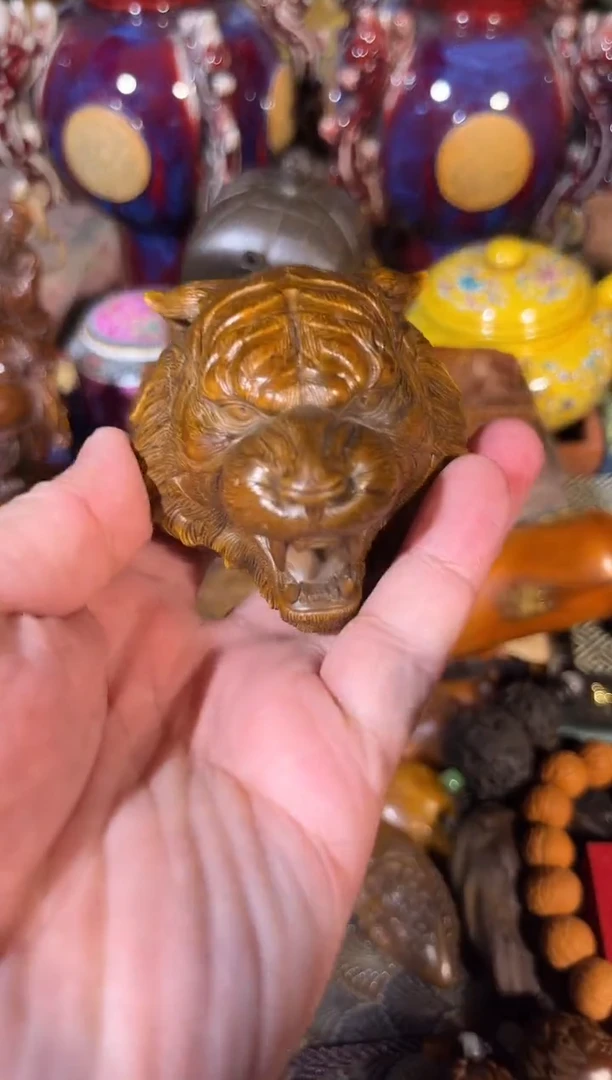 黄杨木11111111111111