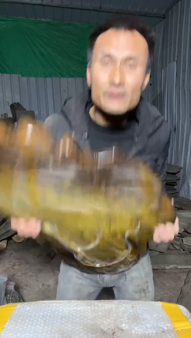 美****边木板11111111恩