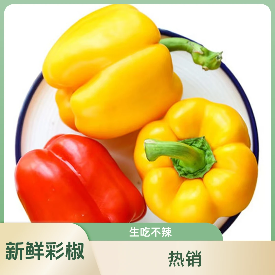 【顺丰发货】新鲜五彩椒甜椒圆椒山东寿光红黄彩椒不辣水果椒生吃