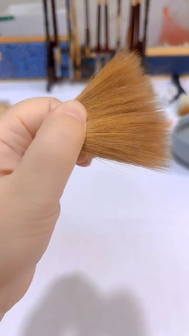 6.0黄狼的单毛头1个