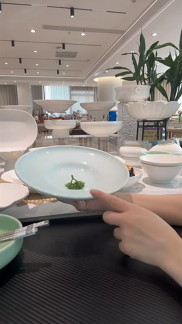 陶瓷10寸青瓷汉斯盘