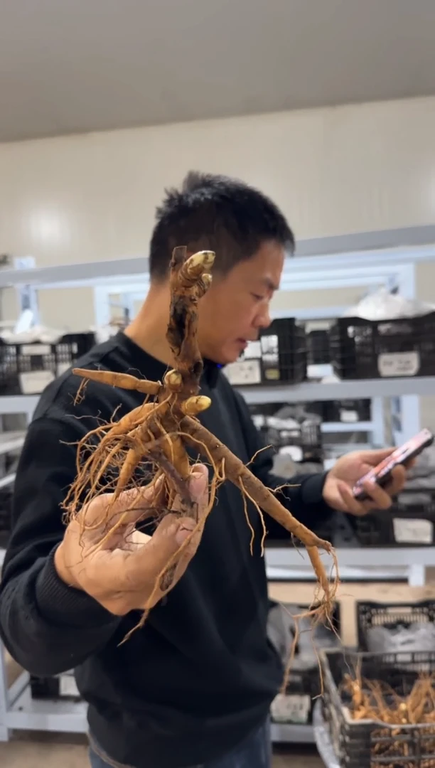 沵****°沵算what°  218  珊瑚魔法