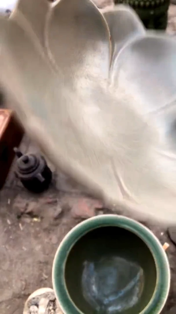 【闪购商品】搪瓷 商用陶瓷代替链接（已直播间实物为准）