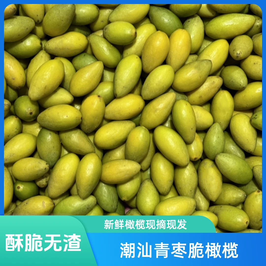 『原生态』潮汕青枣脆橄榄口感酥脆无渣手工采摘果园直发