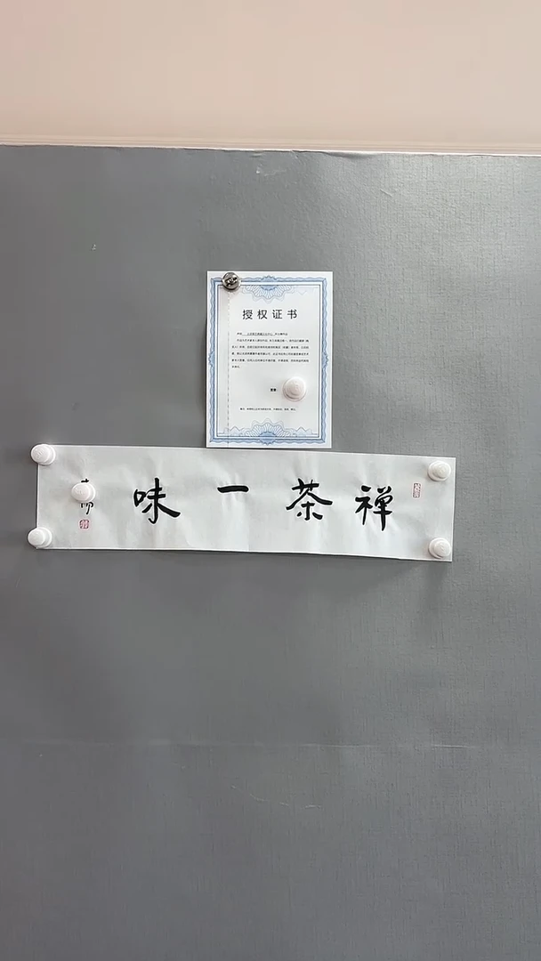 【闪购商品】书法雅艺典藏文化书法