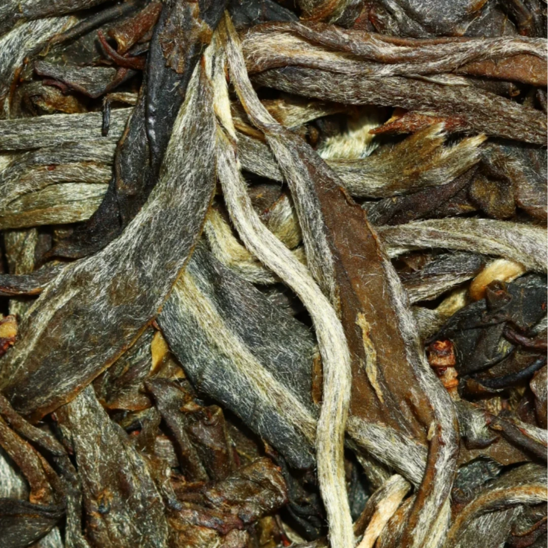【忙肺】临时链接/2019年春/核心产区/百年古树/普洱茶生茶/200克饼