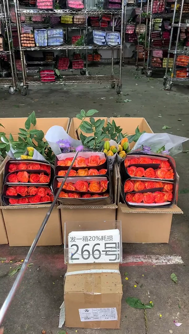 266号♥中通含20%耗损发一箱鲜花