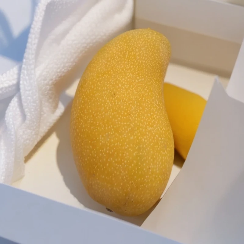 【农邦优选】水仙芒果1.8斤左右水仙芒