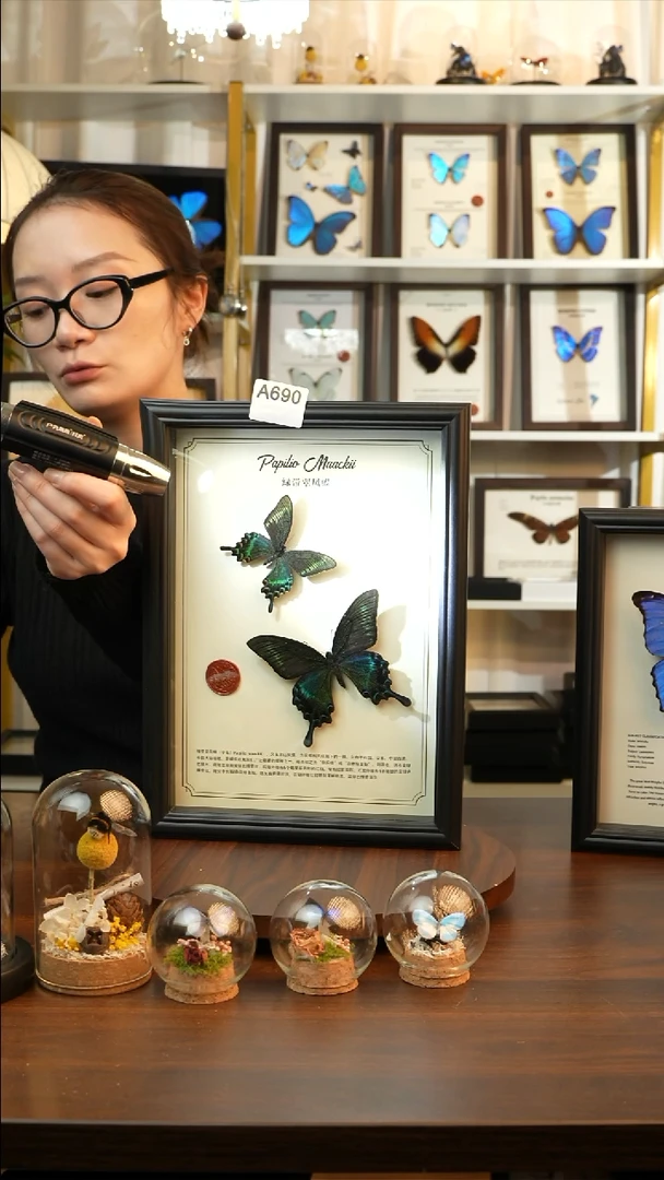 绿带翠凤蝶春+夏款双蝶（A4黑框）A690