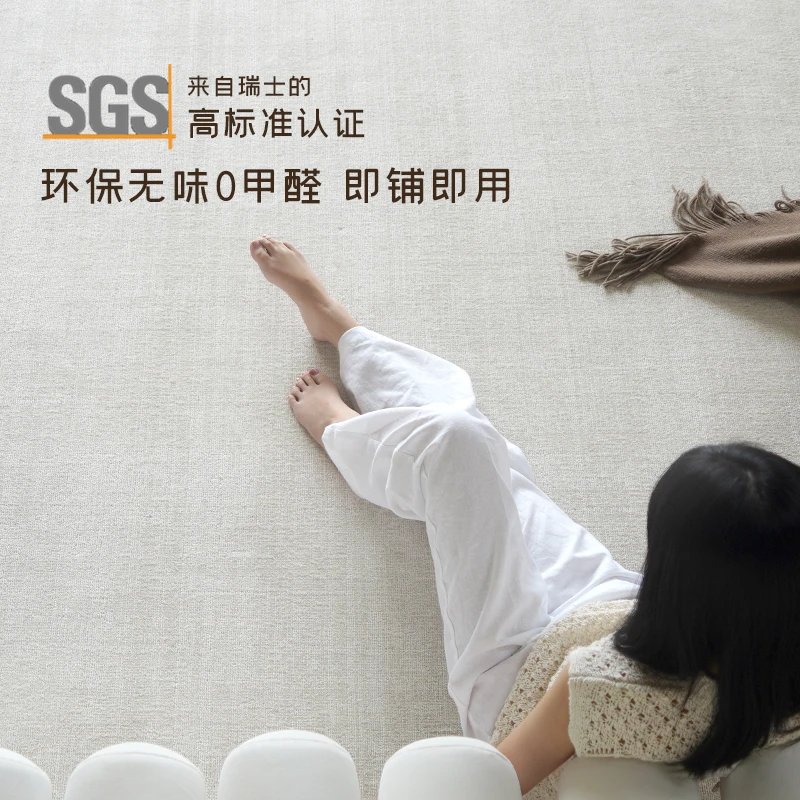 柔软奶油风地毯羊毛客厅印度进口超厚奢品级大宅高级感卧室地毯垫