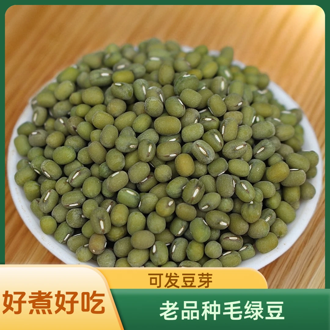 绿豆新货老品种毛绿豆好煮可发豆芽农家食品自产新鲜绿豆5斤装