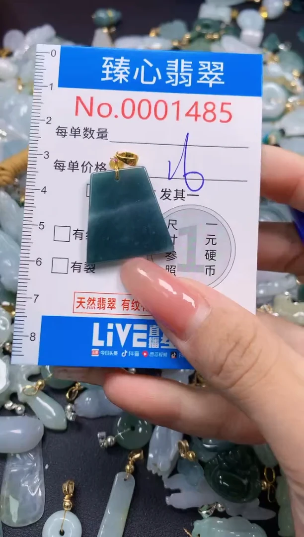 翡翠未镶嵌颈饰1485
