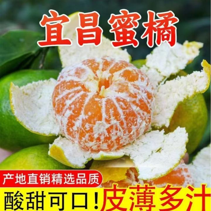 【抢九斤】2026新鲜青皮蜜桔薄皮多汁酸甜爽口当季孕妇水果