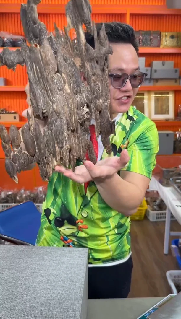 摆件沉香280号多样性发一