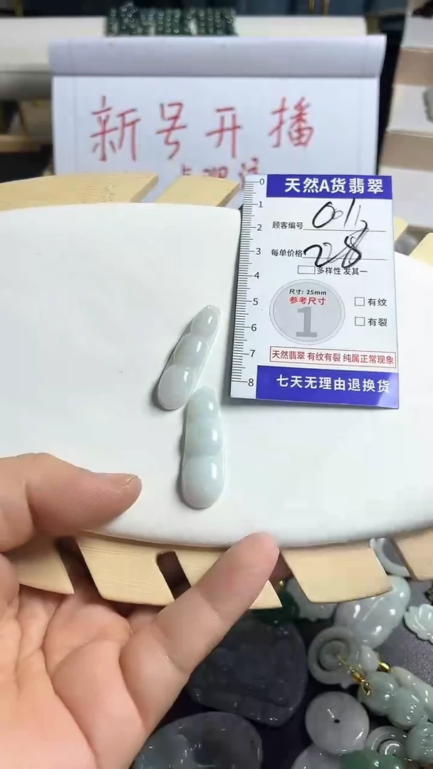 颈饰未镶嵌翡翠001