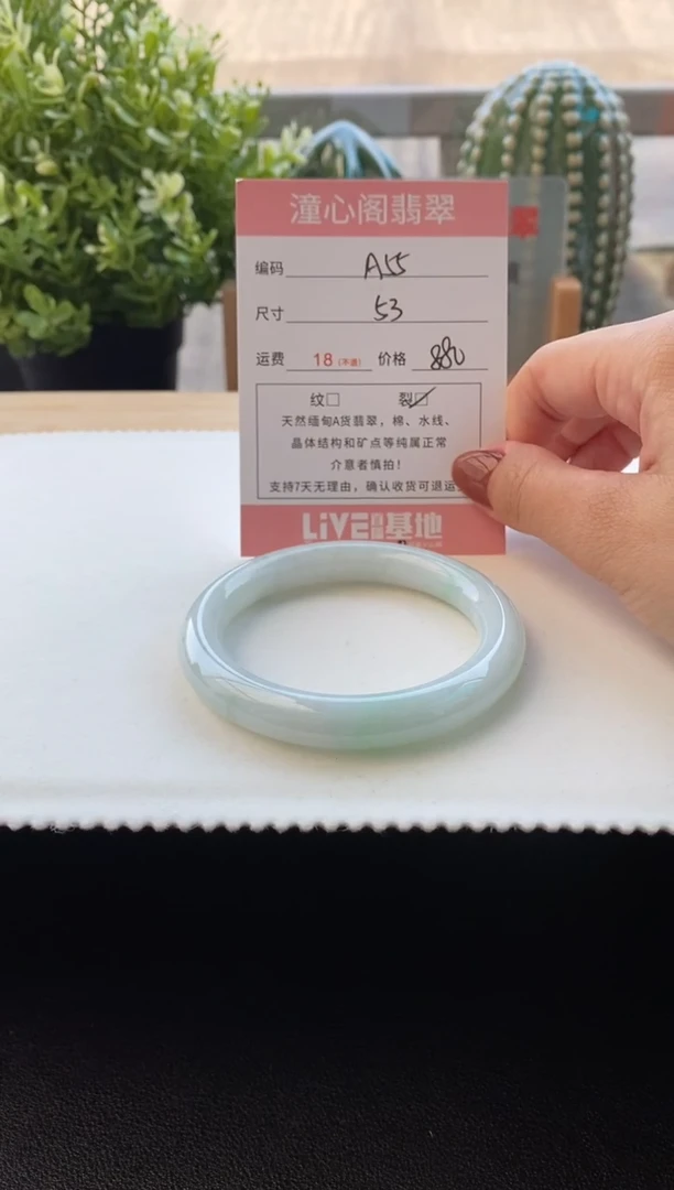 未镶嵌手镯翡翠53圈口 编码A55